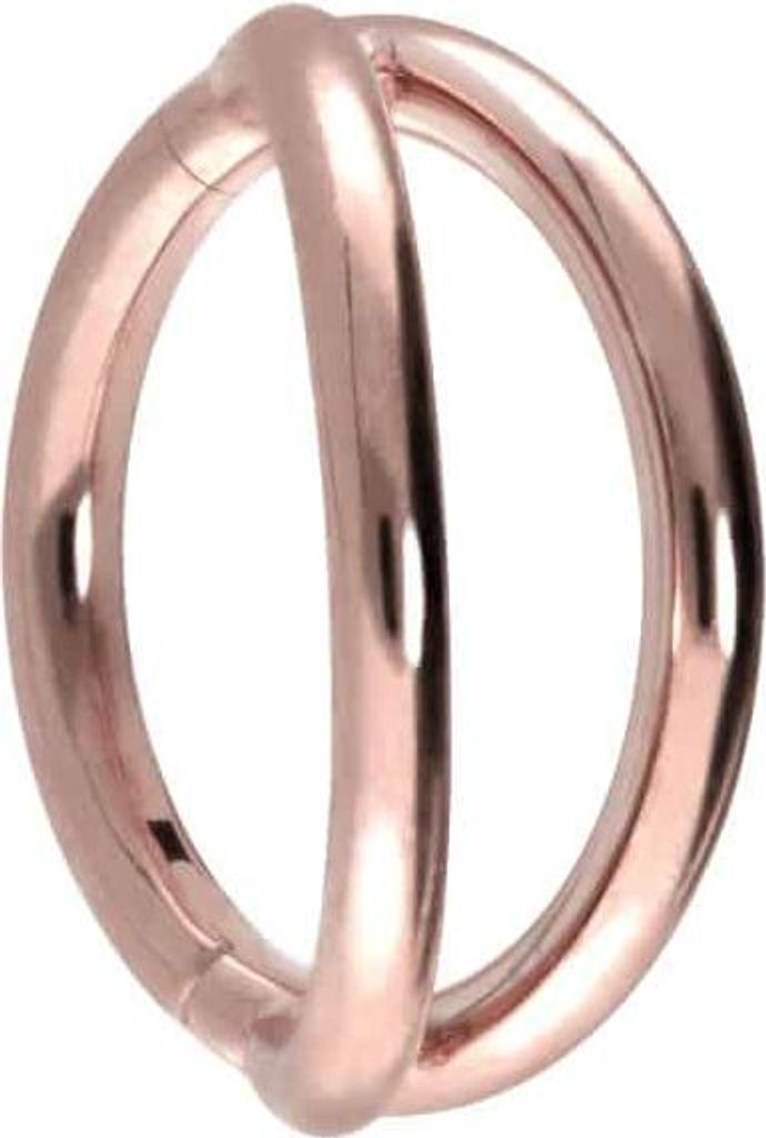 Ohrpiercing, Nasenpiercing, Septum Piercing Titan Segmentring Clicker 2 RINGE RoséGold Innendurchmesser: 7mm + Stabstärke: 1mm