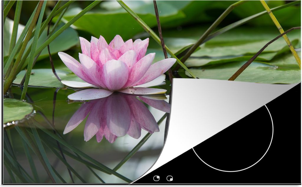 KitchenYeah Herdabdeckplatte Blumen - Lotus - Wasser , 81x52cm, Küche Deko, Glaskeramikfeld Herdabdeckung, Abdeckplatte fùr Kochfeld