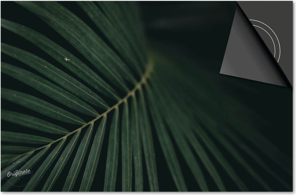 Induktionsschutz 77x51 - abdeckplatte Induktion matt- Dietrix Kochfeldschutz- Base - Blätter - 18 Blätter spitz