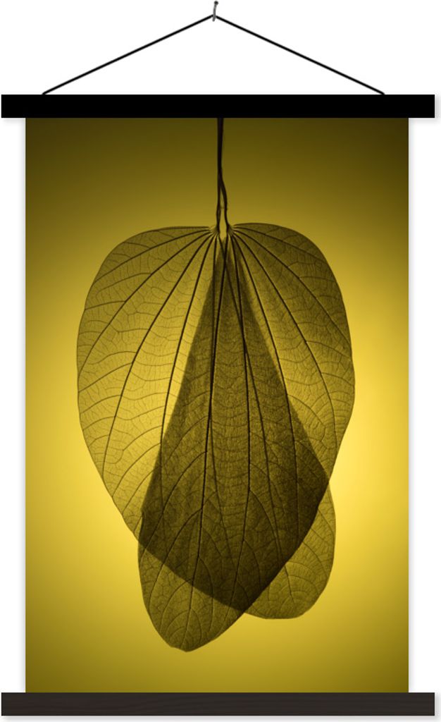 MuchoWow Textilposter Skelett mehrerer botanischer Blätter auf gelbem Hintergrund 120x180 cm mit schwarzem Rahmen - Fotos