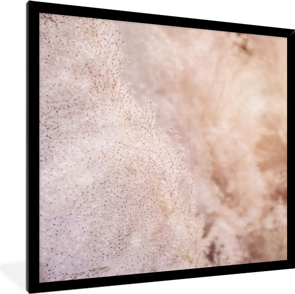 MuchoWow Gerahmtes Poster Pampasgras - Struktur - Pflanzen - Natur 40x40 cm - Poster mit Schwarzem Bilderrahmen Wandposter Rahmen Foto Bilder - M...