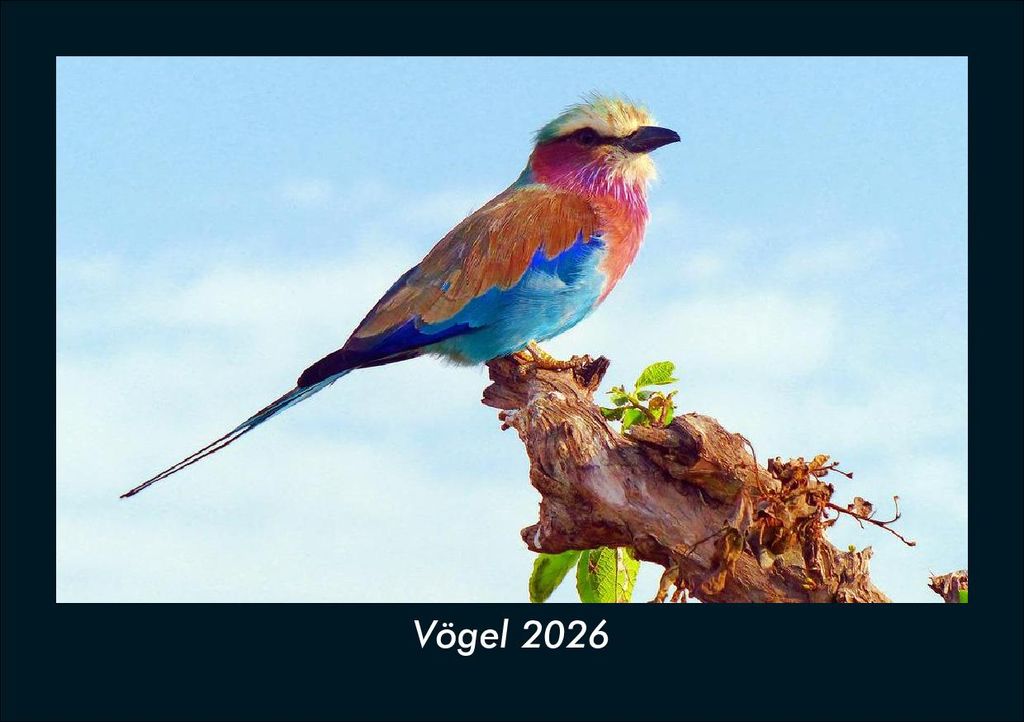 Vögel 2026 Fotokalender - Querformat DIN A5, Monatskalender mit Bild-Motiven von Haustieren, Bauernhof, wilden Tieren und Raubtieren
