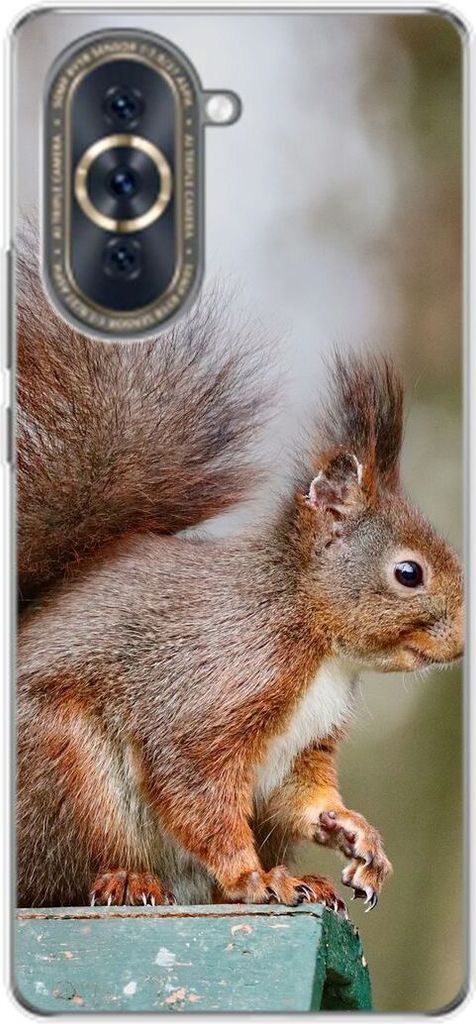 König Design Hülle kompatibel mit Huawei nova 10 Kunststoff Soft Handyhülle - Handy Case Eichhörnchen