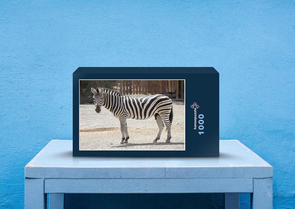hansepuzzle 83655 - Zebra Puzzle, 1000 Teile, Tierwelt, 60,0 x 46,0cm mit hochwertiger Aufbewahrung, Kartonbox und wiederverschließbarem Beutel