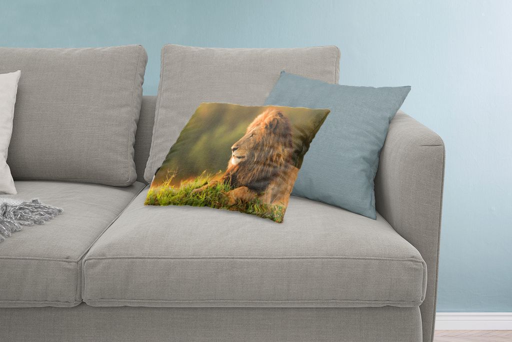 MuchoWow Zierkissen Sofakissen Wohnzimmer Dekokissen 60x40 cm Sonnenaufgang - Löwe - Gras - Kopfkissen - Polster mit Foto