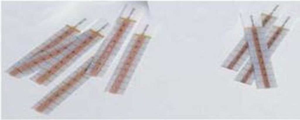 Teststreifen zur Bestimmung der Salzkonzentration Test Strips Pool Spa Salt, 10 Stück
