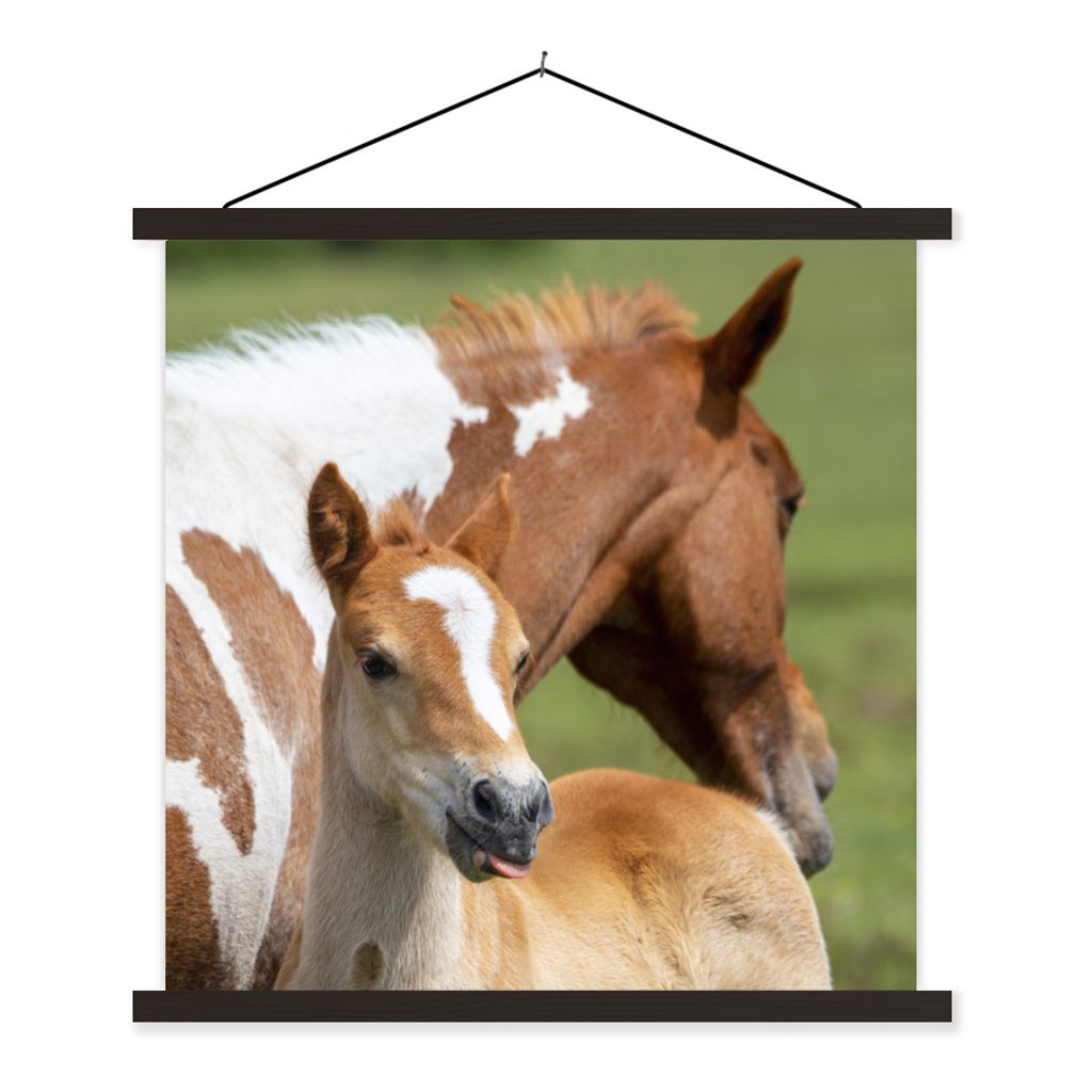 MuchoWow Textilposter Pferde - Fohlen - Gras 120x120 cm mit schwarzem Rahmen - Aufhängungsset