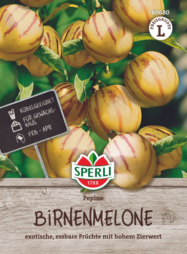 SPERLI Birnenmelonensamen Pepino Solanum muricatum 10 Produktbild 