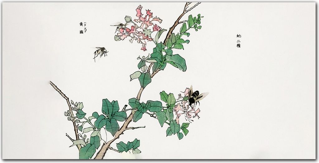 Coloray Bild aus Leinwand 120x60 Leinwand Dekoration - Zweige Blätter Insekten