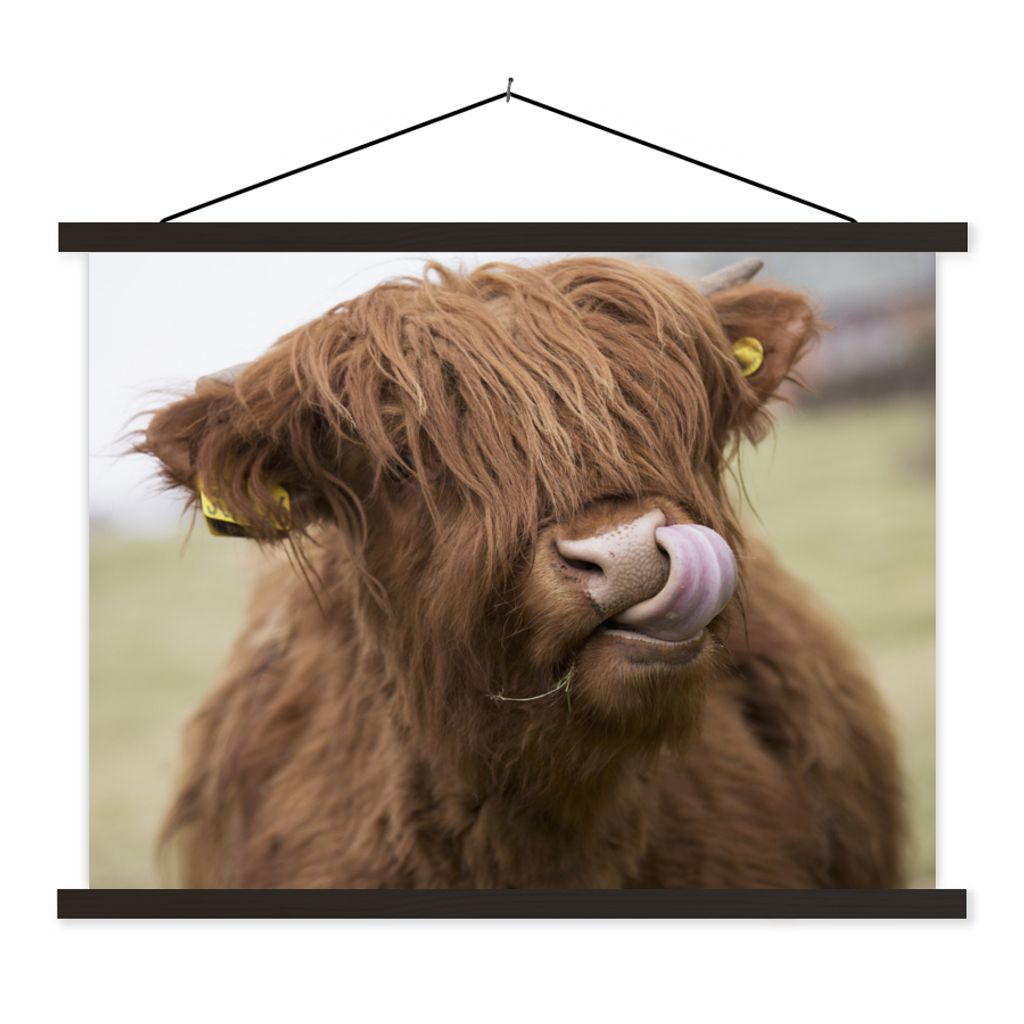 MuchoWow Textilposter Schottischer Highlander - Braun - Kuh 120x90 cm mit schwarzem Rahmen - Aufhänger für Poster