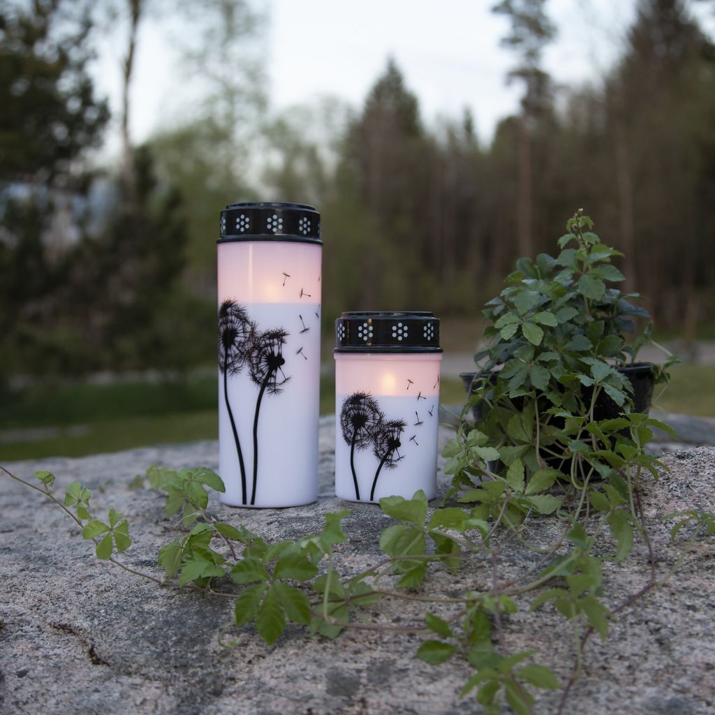 Star Trading LED Grabkerze, Gedenkkerze, Dandelion‘, Timer, Produktbild 3