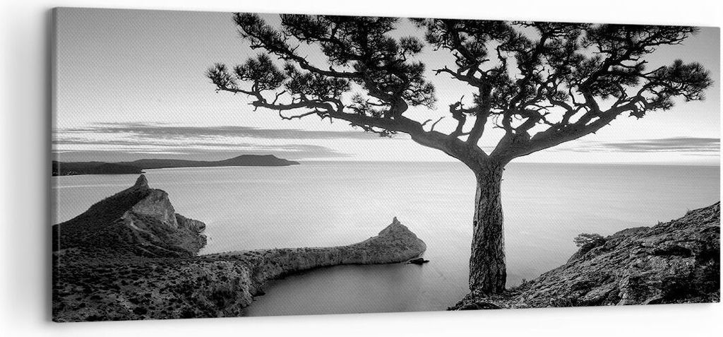 Bild auf Leinwand - Leinwandbild - Einteilig - Baum Schwarzweiß Ansicht - 120x50cm - Wand Bild - Wanddeko - Wandbilder - Leinwanddruck - Bilder - ...