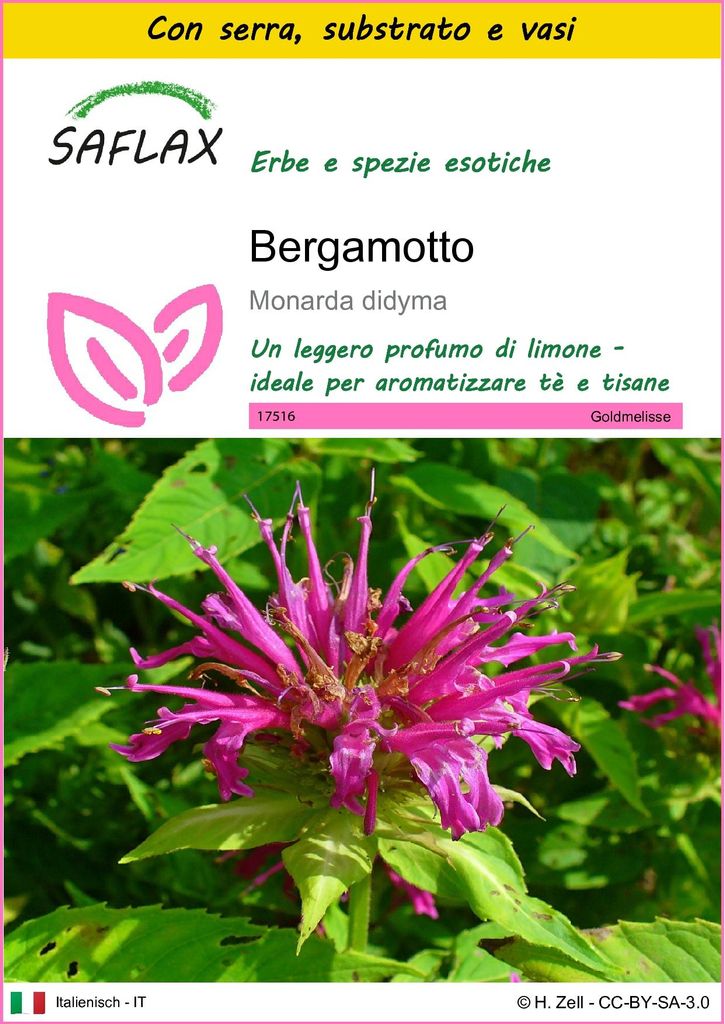SAFLAX Insieme di coltivazione - Bergamotto - 20 semi - Immagine del prodotto 