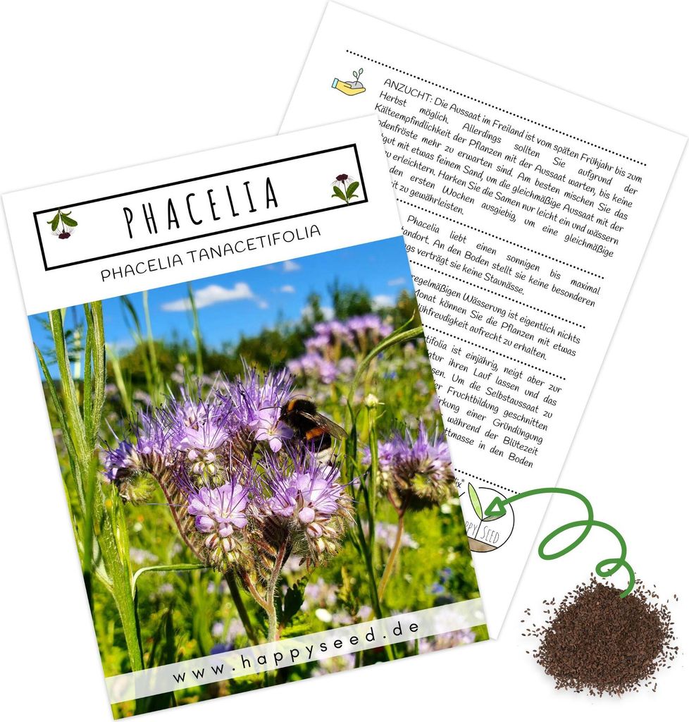 Phacelia Samen Bienenfreund (Phacelia tanacetifolia) als ideale Beimischung für eine bunte Bienenweide - Der Liebling für Bienen & Schmetterlinge