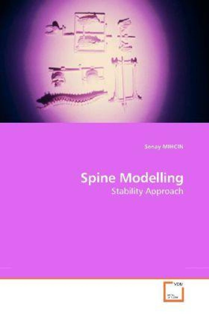 MIHCIN, S: Spine Modelling