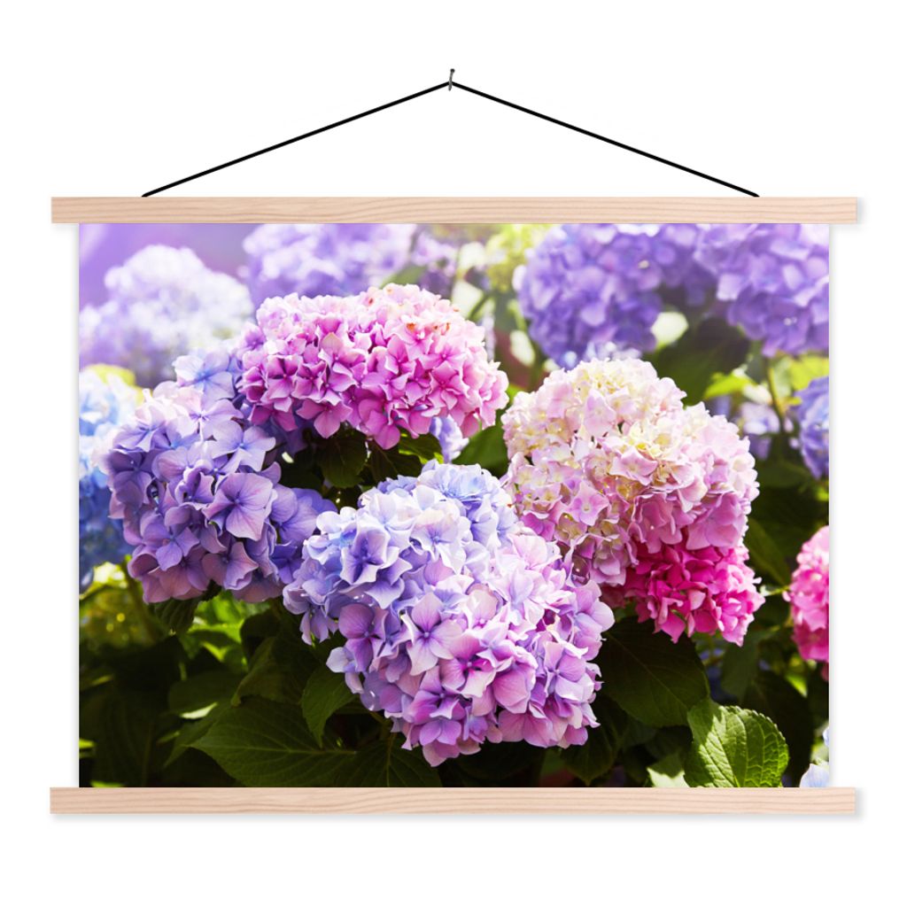 MuchoWow Textilposter Blumen - Hortensie - Rosa - Blätter - Sonne 40x30 cm mit holzfarbenen Rahmen - Bilder