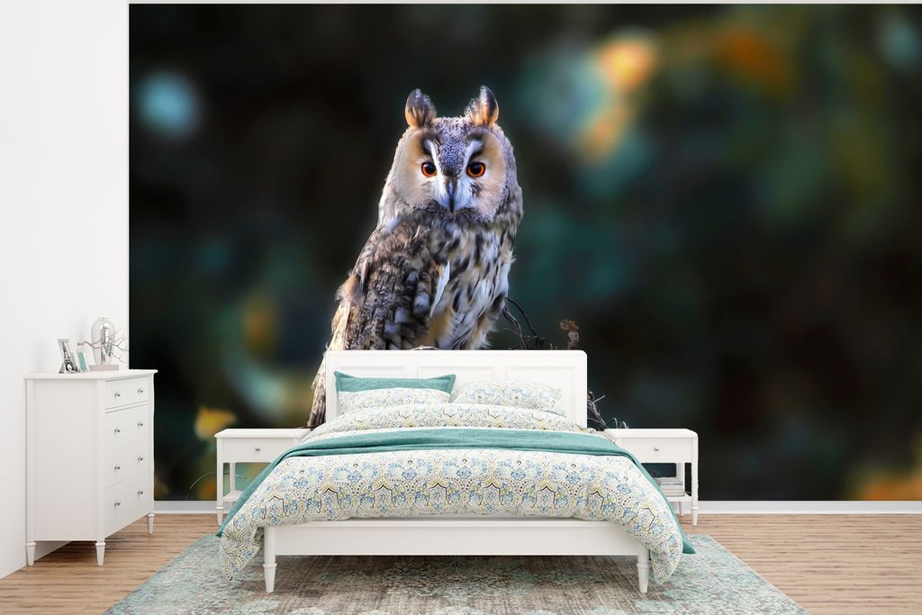 MuchoWow Fototapete für Wohnzimmer oder Schlafzimmer Wandtapete Vinyl Motivtapete Eule - Herbst - Vogel - Äste - 400x300 cm - Papiertapeten