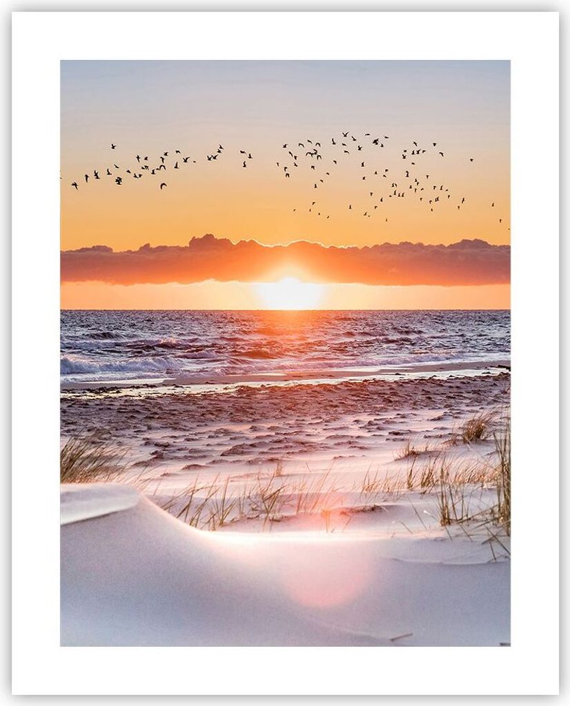 Poster - Poster ohne Rahmen - Sonne Strand Vögel - 40x50 cm - Wand Bild - Wanddeko - Wandbilder - Kunstposter - Wandposter - Bilder - Kunstdruck -...