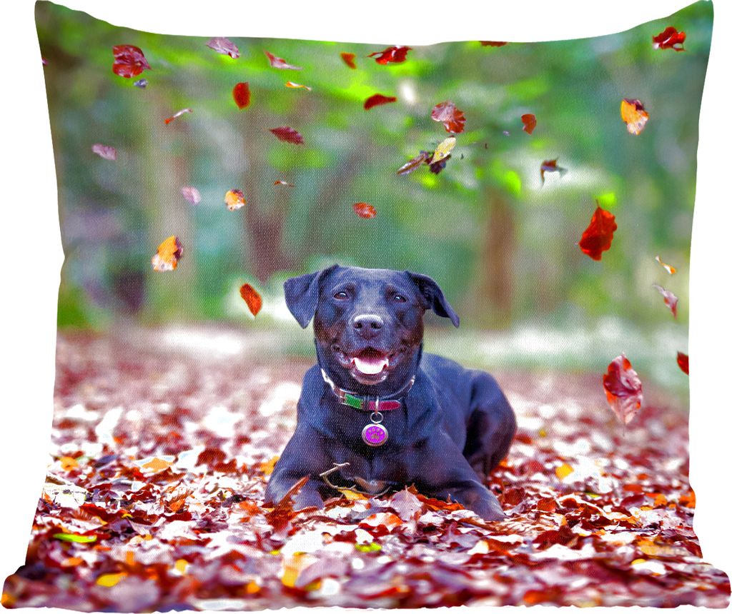 MuchoWow Zierkissen Sofakissen Wohnzimmer Dekokissen 60x60 cm Schwarzer Labrador Retriever inmitten schöner Herbstblätter liegend - Sitzfläche...