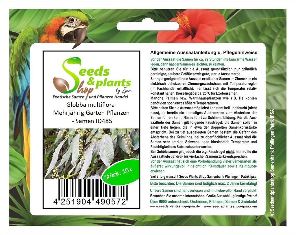 10x Globba multiflora Mehrjährig Garten Pflanzen - Samen ID485