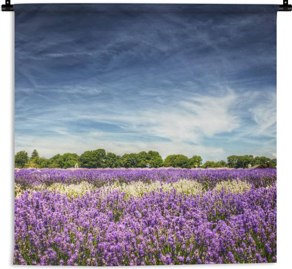MuchoWow Wandteppich Wandbehang Lila und weiß blühender Lavendel auf einem Feld 150x150 cm Tapisserie Dekoration Wandtuch - Wohnaccessoires - M...