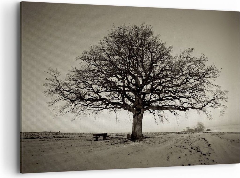 Bild auf Leinwand - Leinwandbild - Einteilig - Baum Schnee Sepia - 100x70cm - Wand Bild - Wanddeko - Wandbilder - Leinwanddruck - Bilder - Wanddeko...