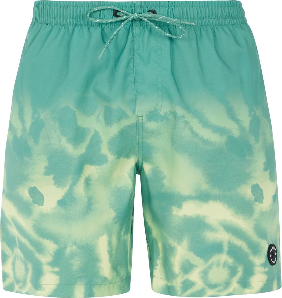 PROTEST PRTAGOR beachshort Frosty Green L