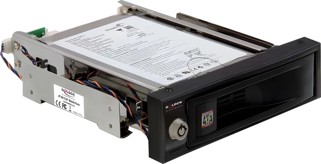 DeLOCK 47199 Rack Mobile 3.5 SATA - Storage Rapido per Video Editing