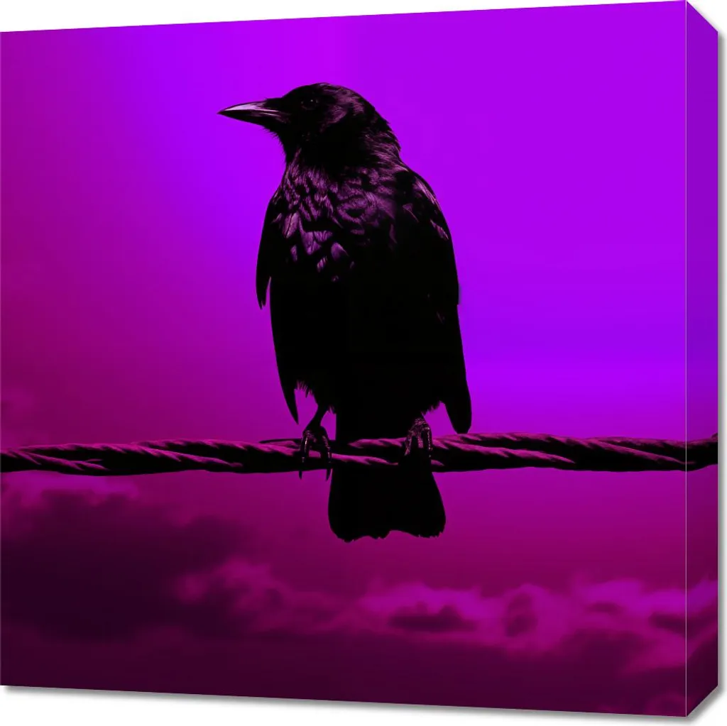 Quadro 60x60 cm Silhouette del Mistero - Arte Moderna per Parete