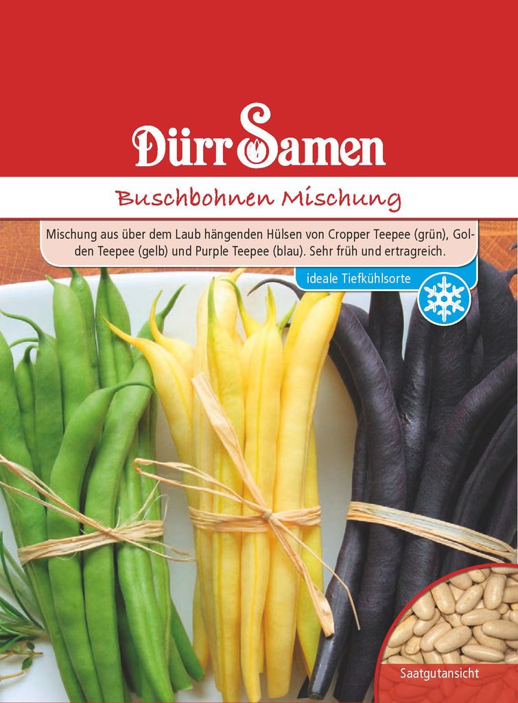 Buschbohne grün-, gelb- & blauhülsige Buschbohnemischung | Produktbild 