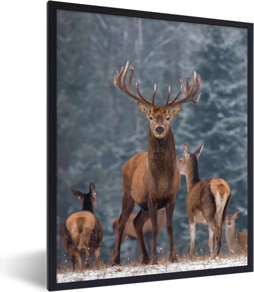MuchoWow Gerahmtes Poster Hirsche - Winter - Schnee - Waldtiere - Wald - Natur 60x80 cm - Poster mit Schwarzem Bilderrahmen Wandposter Rahmen Fot...