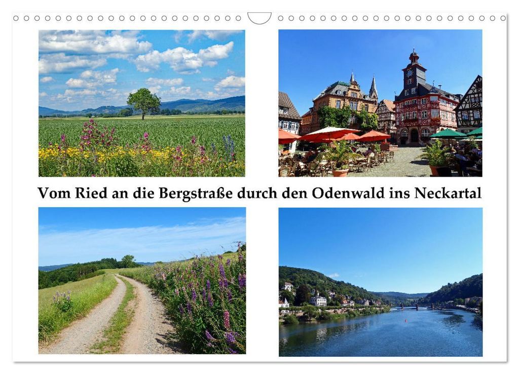 Vom Ried an die Bergstraße, durch den Odenwald ins Neckartal (Wandkalender 2027 DIN A3 quer), CALVENDO Monatskalender