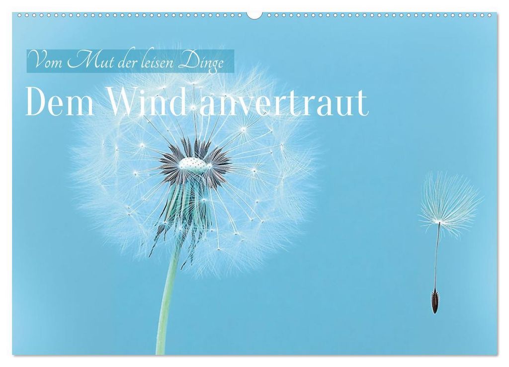 Dem Wind anvertraut (Wandkalender 2027 DIN A2 quer), CALVENDO Monatskalender