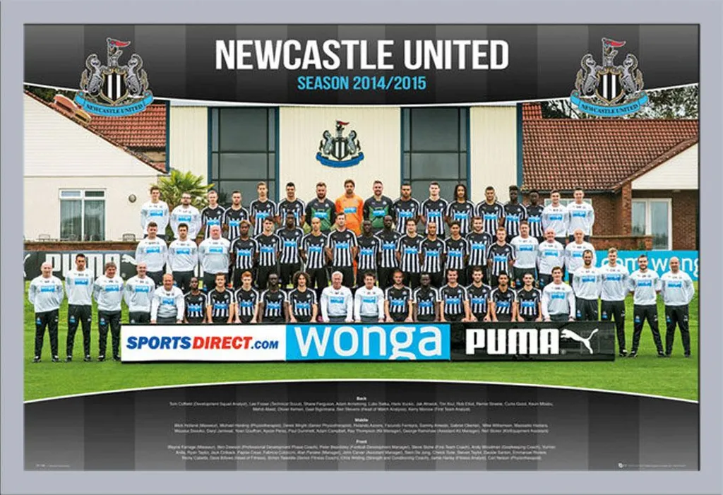 Quadro Newcastle United FC 14/15 Argento - Cornice Shinsuke 61x91,5