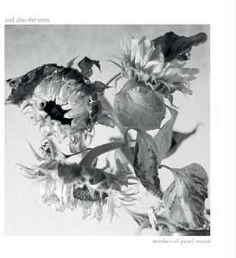 Musique Post-Punk : Vinyle Mother-Of-Pearl Moon - And Also The Trees