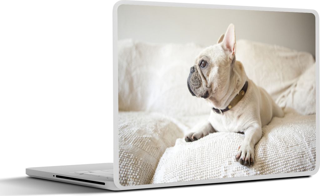 MuchoWow Laptop Aufkleber Sticker Cover Französische Bulldogge - weiß - Bank 36.5x27.5 cm - Laptop-Sticker
