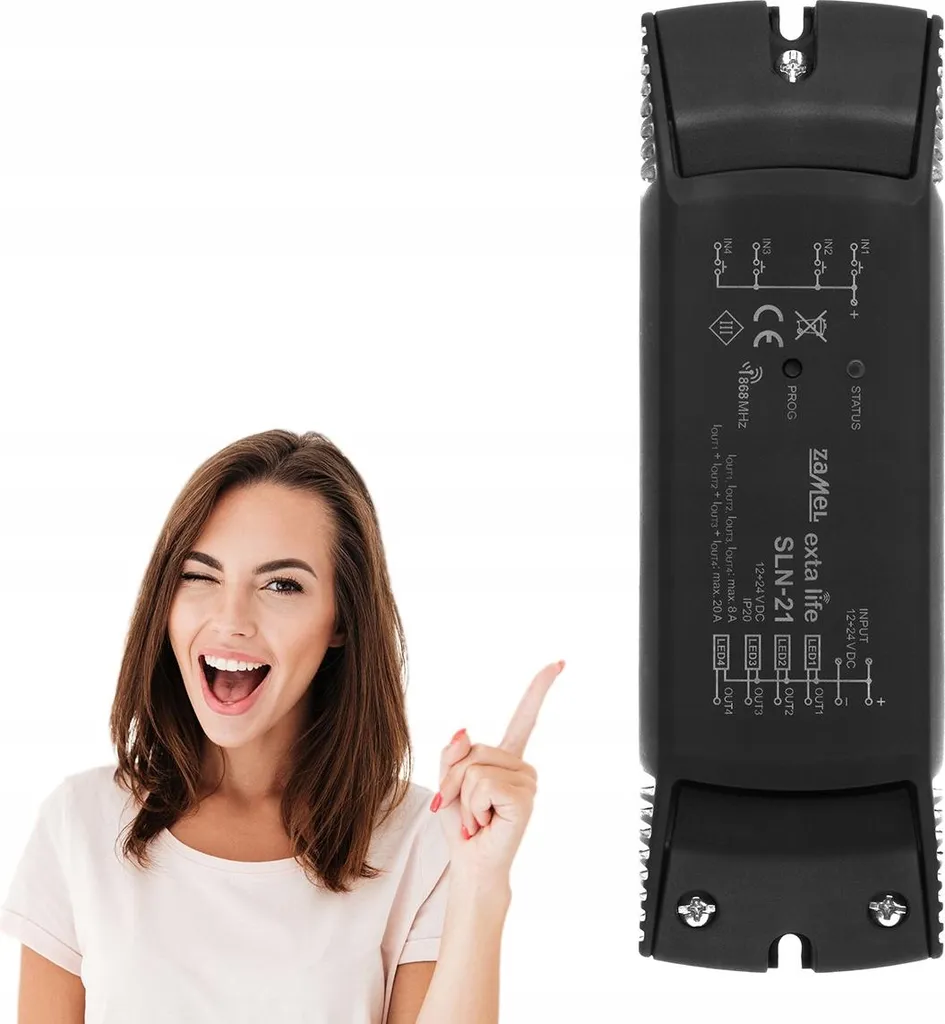 Contrôleur LED 4 canaux SLN-21 : solution pour éclairage multi-sorties - 2