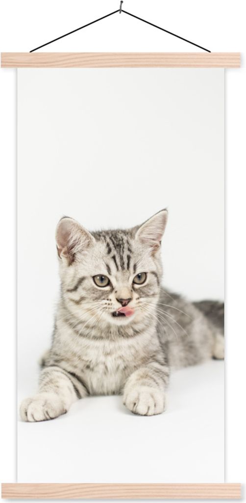MuchoWow Textilposter Kitten - Weiß - Sohle - Mädchen - Kinder - Jungen - Kind 40x80 cm mit holzfarbenen Rahmen - Wohnzimmer