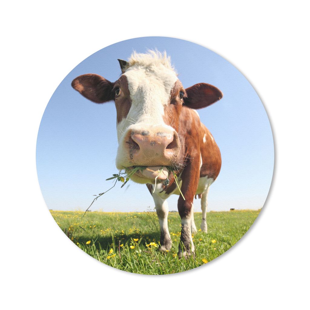 MuchoWow Mauspad Mousepad Kuh - Tiere - Blumen - Gras 30x30 cm - Mousepads - Maus Mat - Pad - Mausunterlage - Tischunterlage - Schreibtischmatten