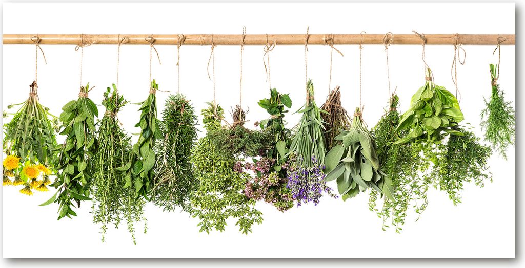 Tulup Leinwandbild -100x50 cm - Wandkunst - Drucke auf Leinwand - Leinwanddruck - Essen & Getränke - Grün - Kräuter an Schnur