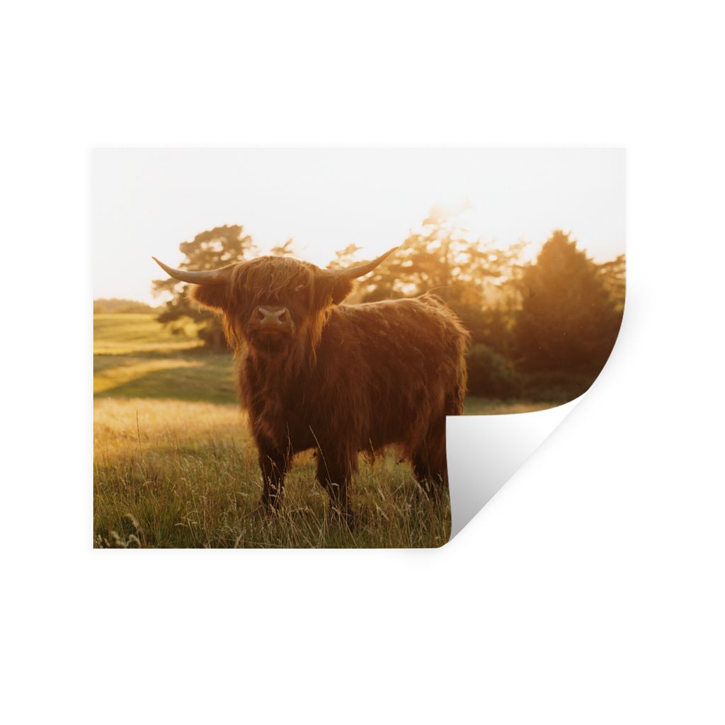 MuchoWow Wandtattoo Wandsticker Wandaufkleber Schottischer Hochländer - Gras - Sonne 120x90 cm Selbstklebend und Repositionierbar - Aufkleber