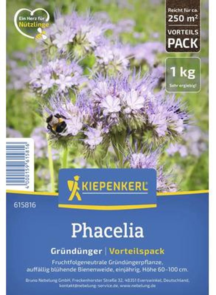 Phacelia Kiepenkerl Blumensamen 1 kg Produktbild 