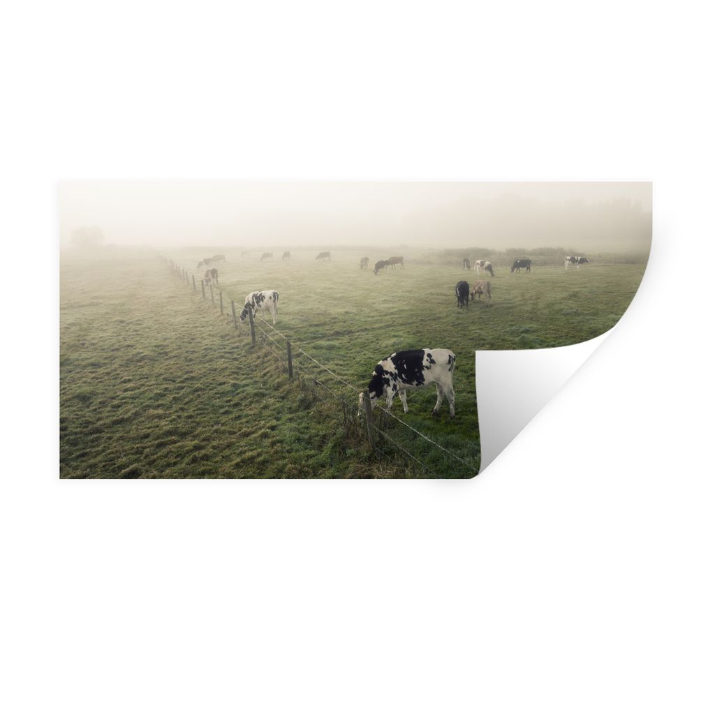 MuchoWow Wandtattoo Wandsticker Wandaufkleber Kühe - Nebel - Friesland 40x20 cm Selbstklebend und Repositionierbar - Aufkleber