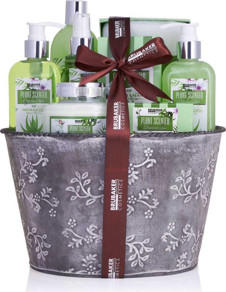 BRUBAKER Cosmetics Bade- und Dusch Set Aloe Vera - 9-teiliges Geschenkset im Vintage Pflanzkübel