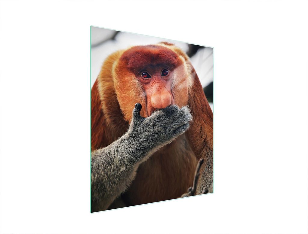 Glasschneidebrett 45x52 NOSACZ
