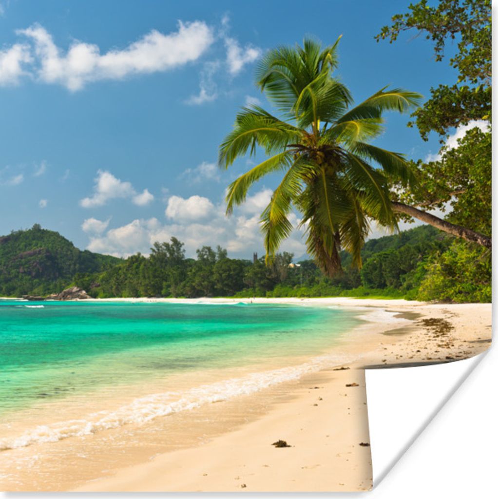 MuchoWow Poster Tropisch - Insel - Strand 75x75 cm - Wand Dekoration