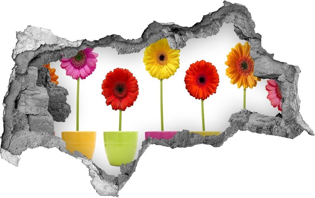 Selbstklebender Loch-3D-Aufkleber 95x73 cm bunte Gerbera