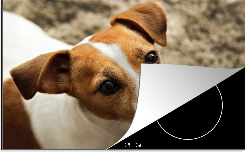 KitchenYeah Herdabdeckplatte Jack Russel schaut nach oben , 77x51cm, Küche Deko, Glaskeramikkochfeld Herdabdeckung, Abdeckplatte fùr Kochfeld