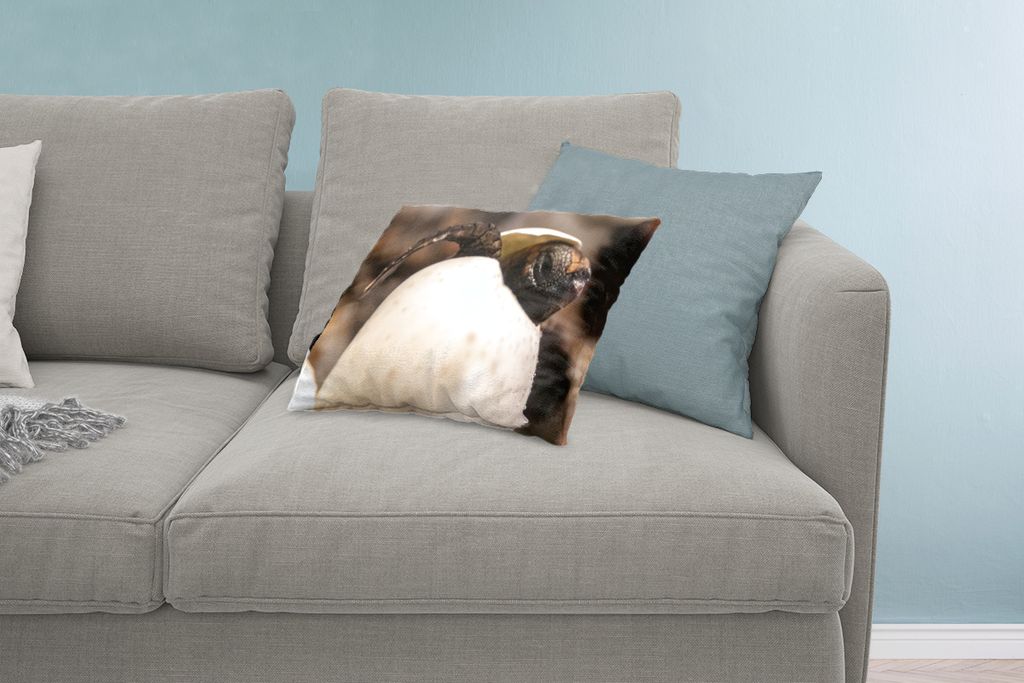 MuchoWow Zierkissen Sofakissen Wohnzimmer Dekokissen 60x40 cm Schildkröte - Baby - Ei - Kopfkissen - Polster mit Foto