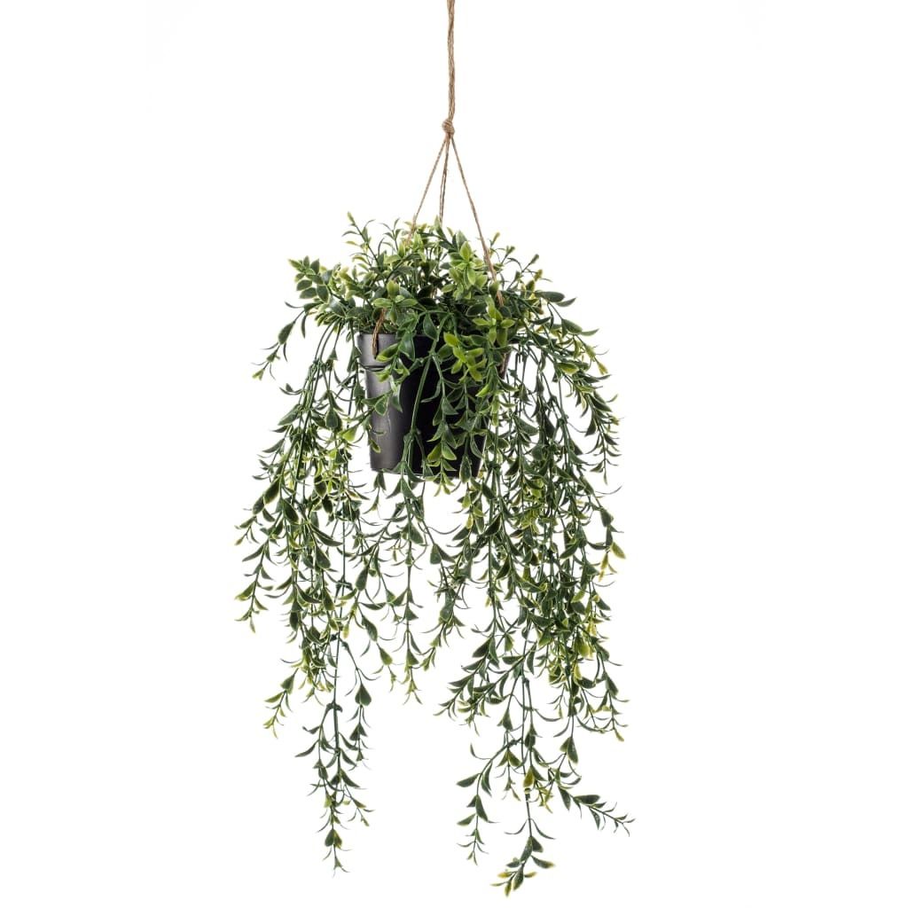 Zijdeplant Hangplant met pot Buxus kunstplant Driesprong Productafbeelding 